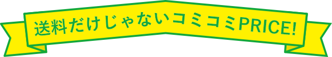 送料だけじゃないコミコミPRICE！
